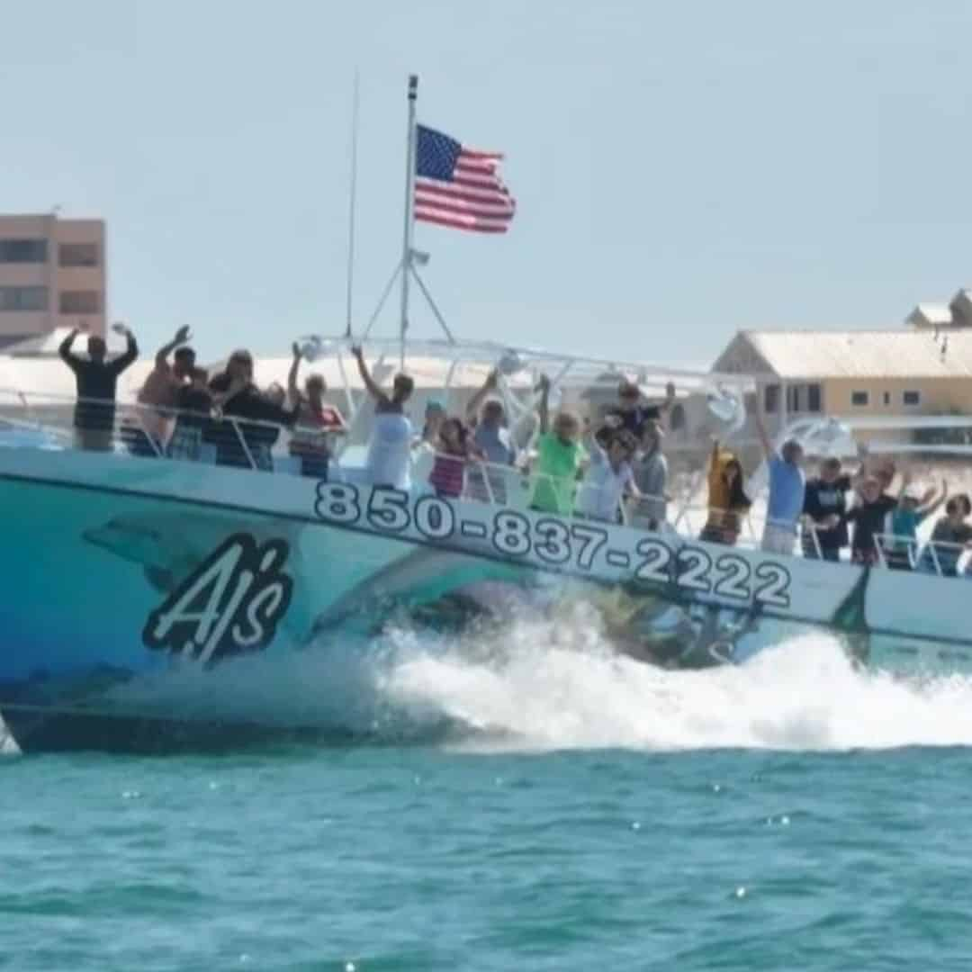 dolphin cruise murrells inlet