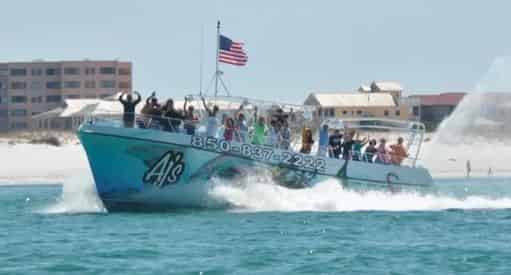 SeaQuest Dolphin Sightseeing Tour