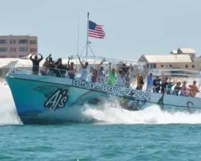SeaQuest Dolphin Sightseeing Tour