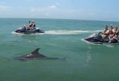 Destin Waverunner Dolphin Tour