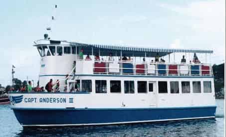 Sunset Dolphin Encounter Aboard Captain Anderson III