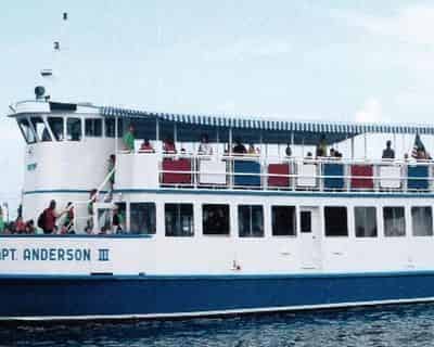 Sunset Dolphin Encounter Aboard Captain Anderson III