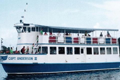 Sunset Dolphin Encounter Aboard Captain Anderson III