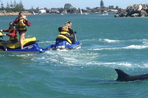 Small Group Waverunner Dolphin Tour Departing From Destin Harbor