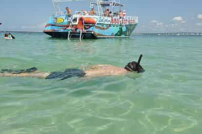 SeaQuest Snorkeling & Dolphin Adventure in Destin