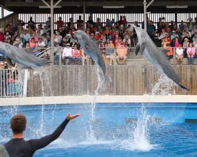Gulfarium Marine Adventure Park Admission Tickets