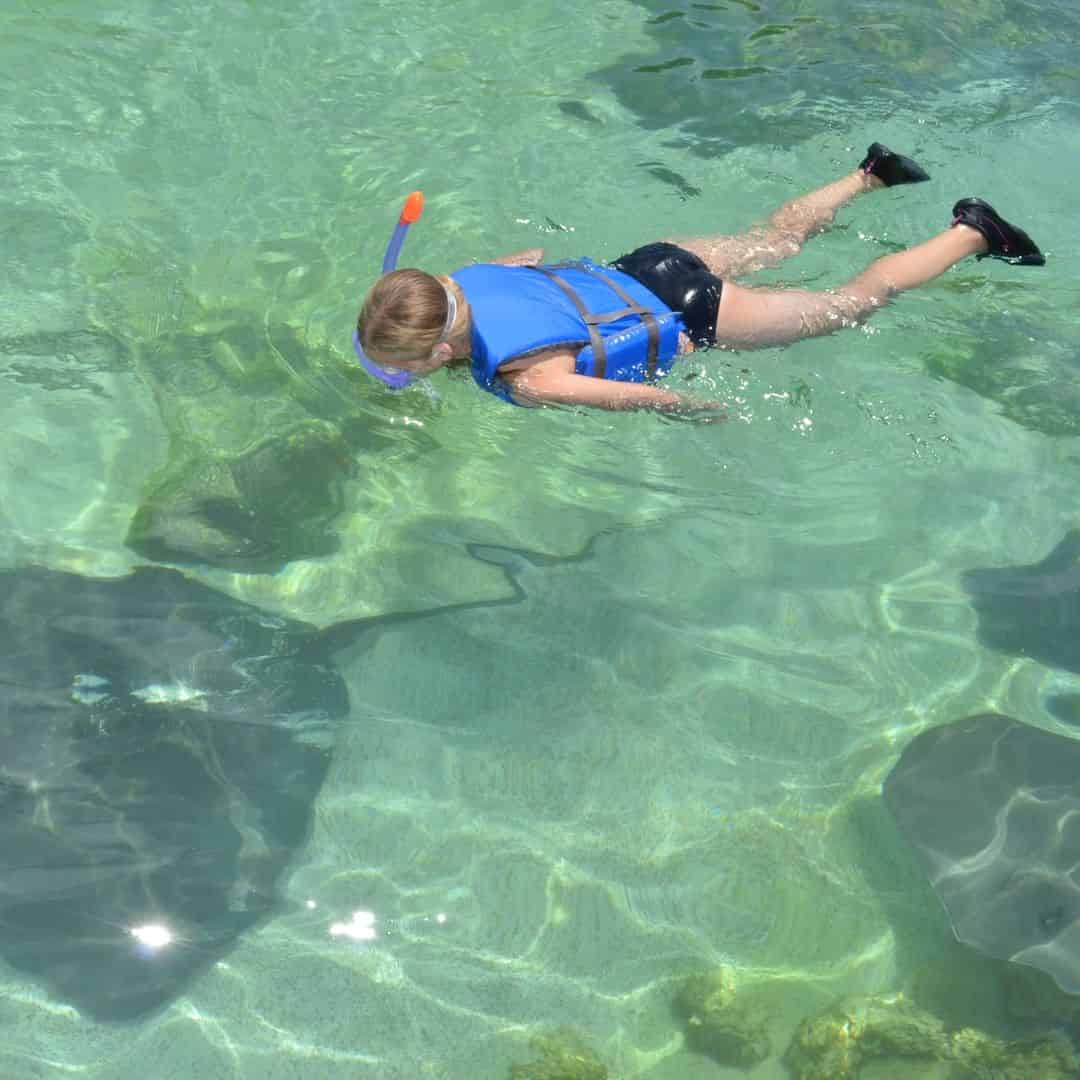 Stingray Bay Snorkel at Gulfarium Marine Adventure Park 