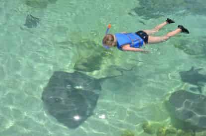 Stingray Bay Snorkel at Gulfarium Marine Adventure Park