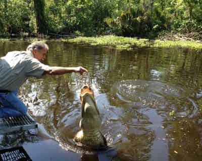 Swamp Tour New Orleans >> My First Swamp Tour 91 Reviews Of Manchac Swamp Tour With Swamp Tour New Orleans >> My First Swamp Tour 91 Reviews Of Manchac Swamp Tour With