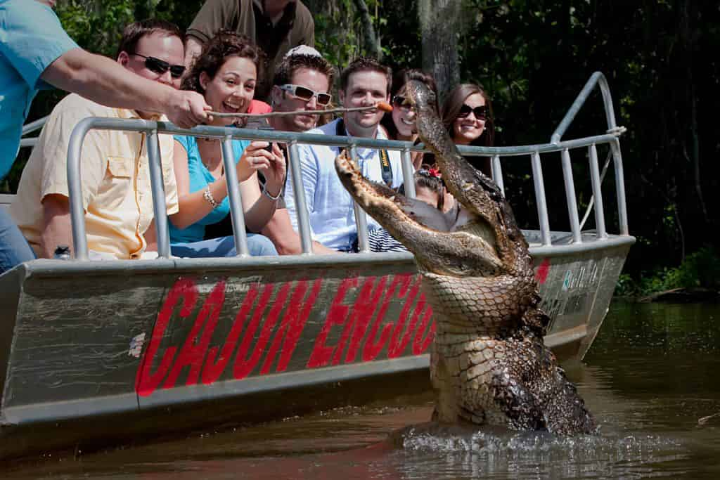 Honey-Island-Swamp-Tour-With-Optional-Transportation-By-Cajun-Encounters