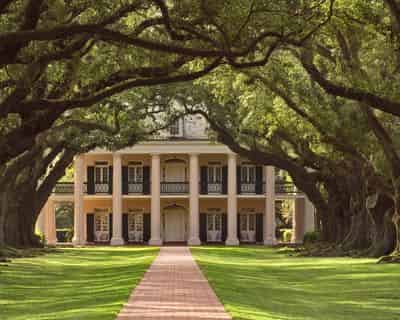 Oak Alley & Laura Plantation Combo Admission & Guided Tour with Transportation from New Orleans