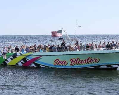 Dolphin Cruise Aboard the Original Sea Blaster