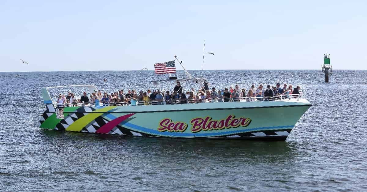 Dolphin-Cruise-Aboard-the-Original-Sea-Blaster