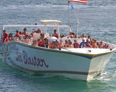 Snorkel and Dolphin Excursion on Destin's Original Sea Blaster