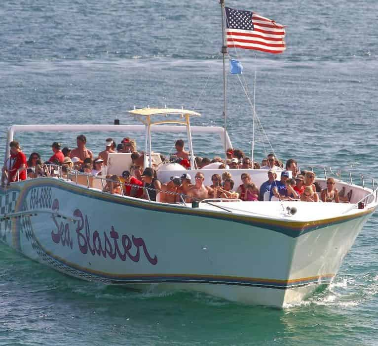 Snorkel & Dolphin Excursion Aboard The Sea Blaster - TripShock!