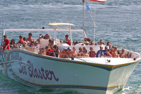 Destin: Snorkel & Dolphin Excursion Aboard The Original Sea Blaster