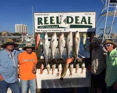 Charter Boat Reel Deal