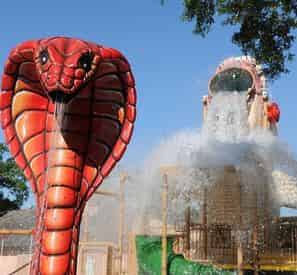 New Orleans Cool Zoo Water Park and Audubon Zoo Combo Ticket