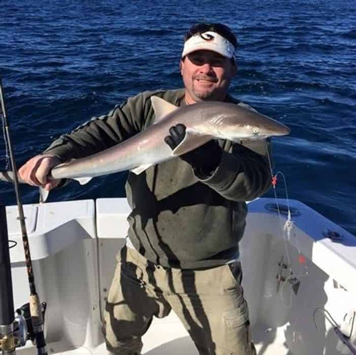 Shark Fishing with PC Florida Charters TripShock!