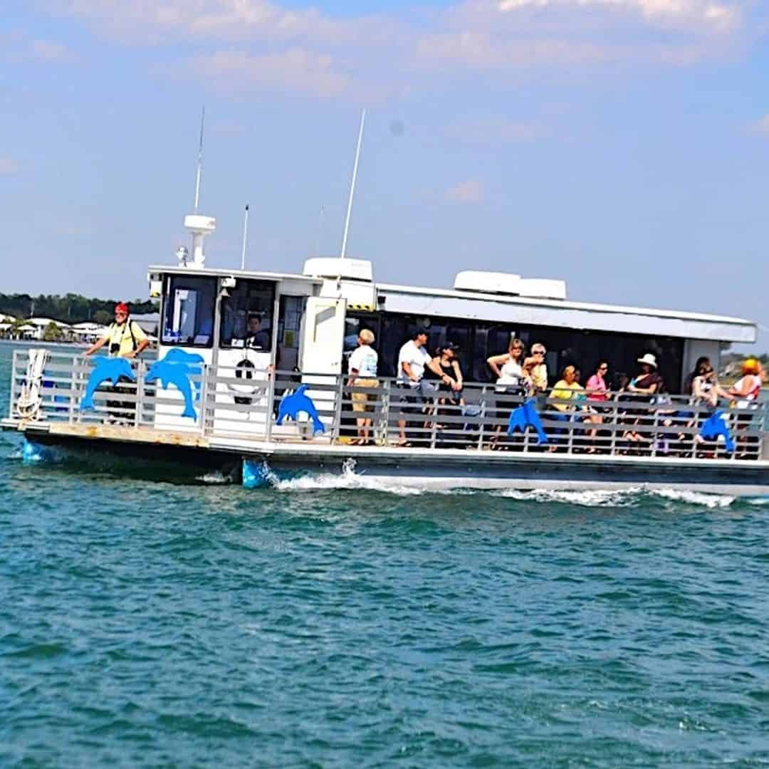 Where To Go Dolphin Watching | Dolphin Cruises Near Me