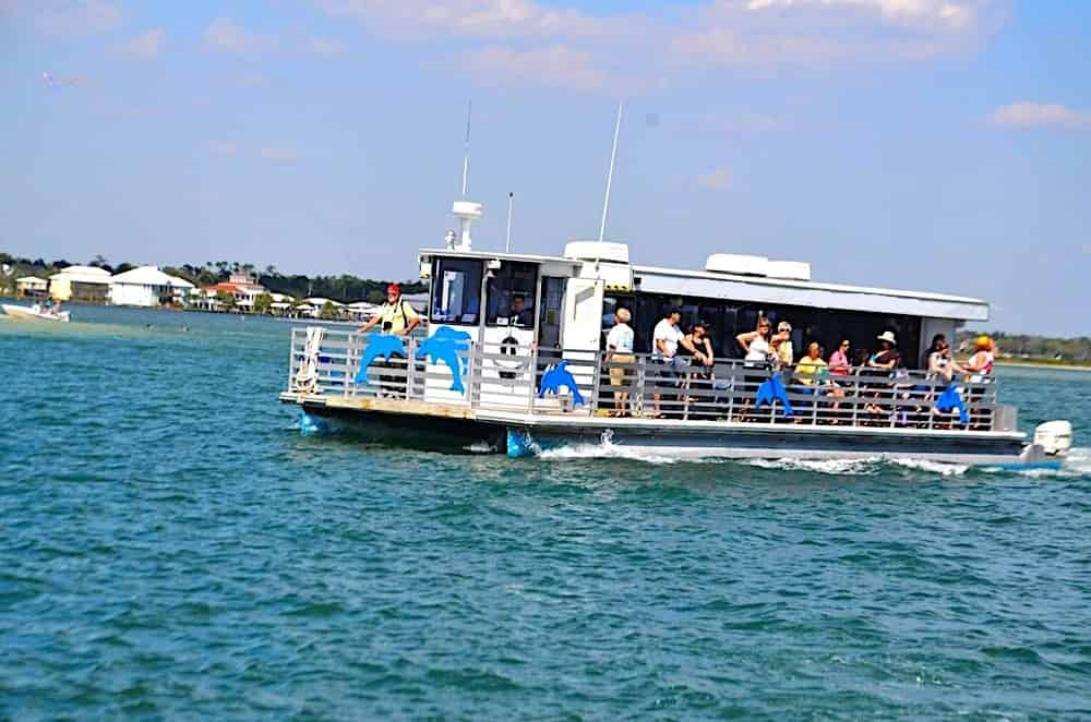 Blue-Dolphin-Tours-Orange-Beach