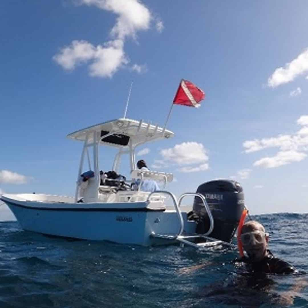 Panama City Beach Private Snorkel Tours - TripShock!