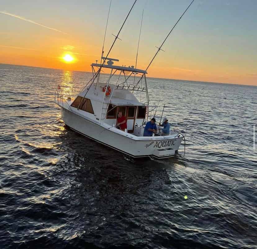 Private-Offshore-Fishing-with-Fish-Now-Charters
