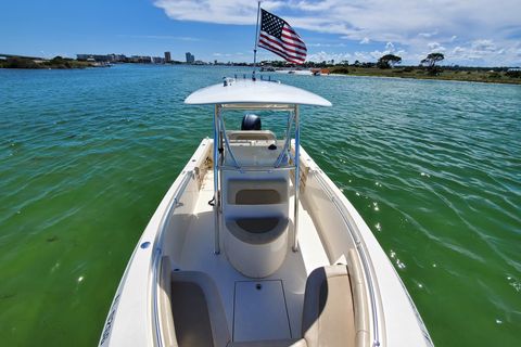Orange Beach: Private Dolphin Sightseeing Tour