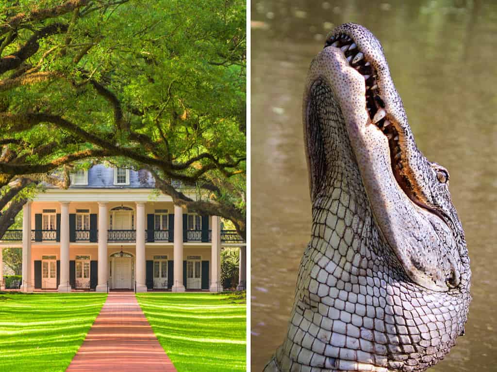 Oak-Alley-Plantation-and-Airboat-Combo-Tour-From-New-Orleans