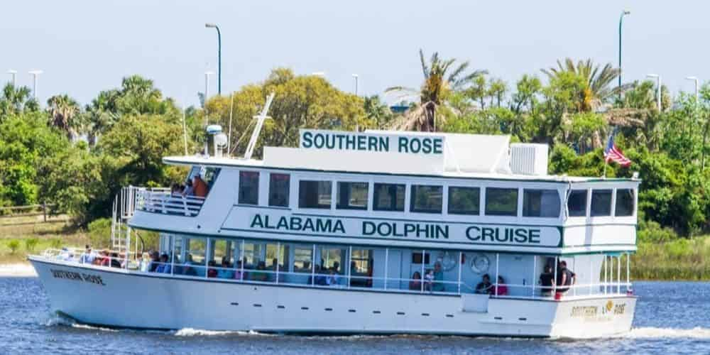 Southern Rose Dolphin Trips and Parasailing