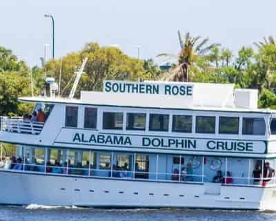 Southern Rose Dolphin Cruise