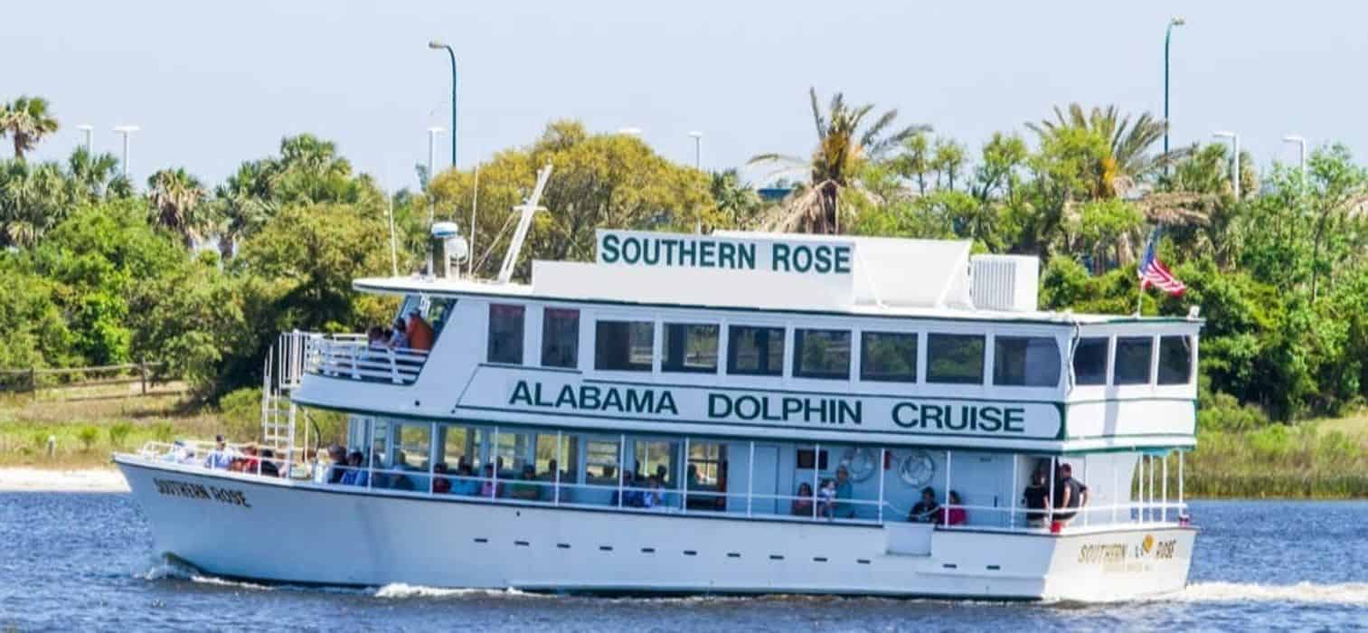 alabama dolphin cruise southern rose