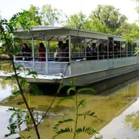 Barataria Swamp Tour from New Orleans with Optional Transportation