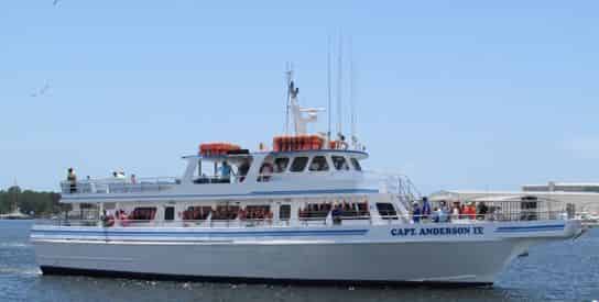 5 Hour Deep Sea Party Boat Fishing in Panama City Beach