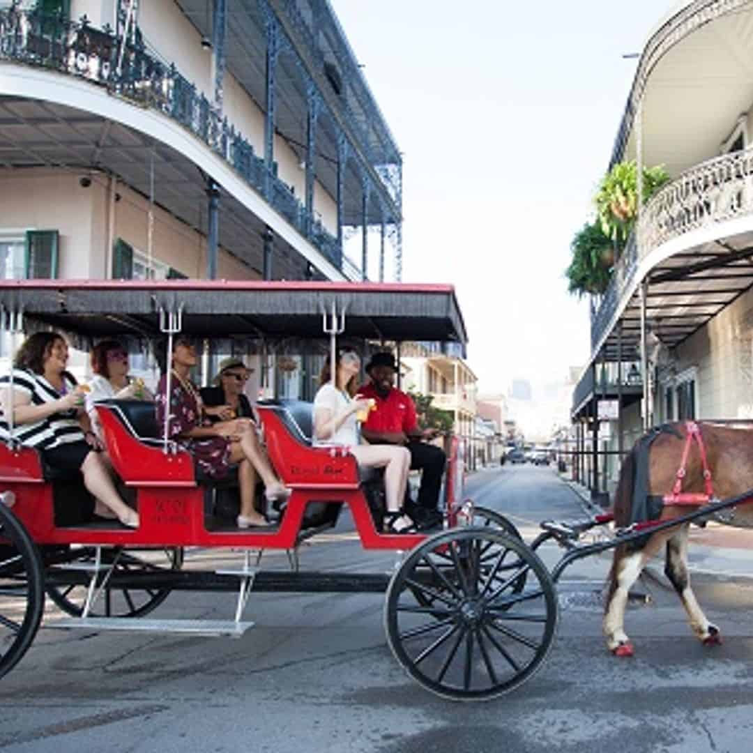 French Quarter Carriage Ride and Cemetery Tour - TripShock!