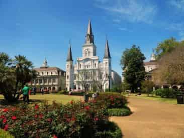 Private Bus Transportation by GrayLine New Orleans