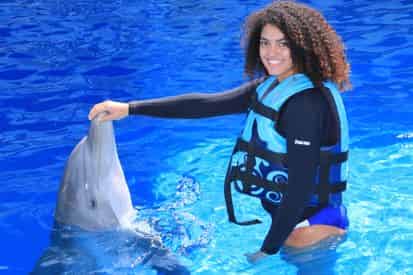 Royal Swim With Dolphins At Gulf World Marine Park Tripshock