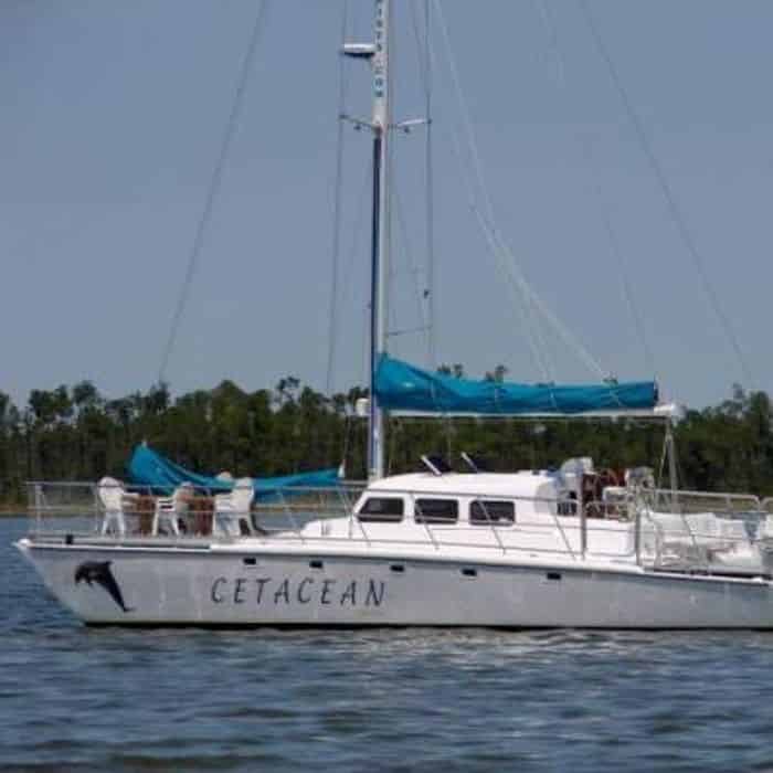 4th of July Private Sailing Excursion TripShock!