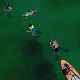 Grayton Beach Reef Snorkel Tour