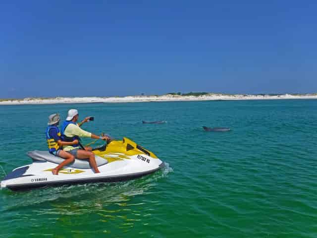 Pensacola Beach Jet Ski Dolphin Tour
