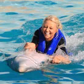 Dolphin Swim Adventure at Gulf World Marine Park