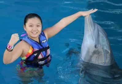 Dolphin Encounter at Gulf World Marine Park