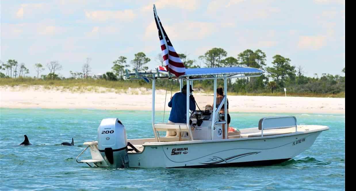 Small-Group-Dolphin-and-Snorkel-Tour