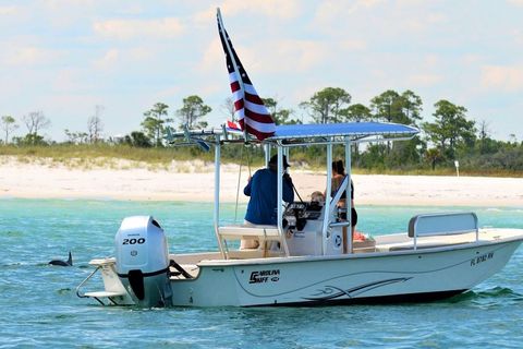 Panama City Beach: Shell Island Small Group Dolphin & Snorkel Tour