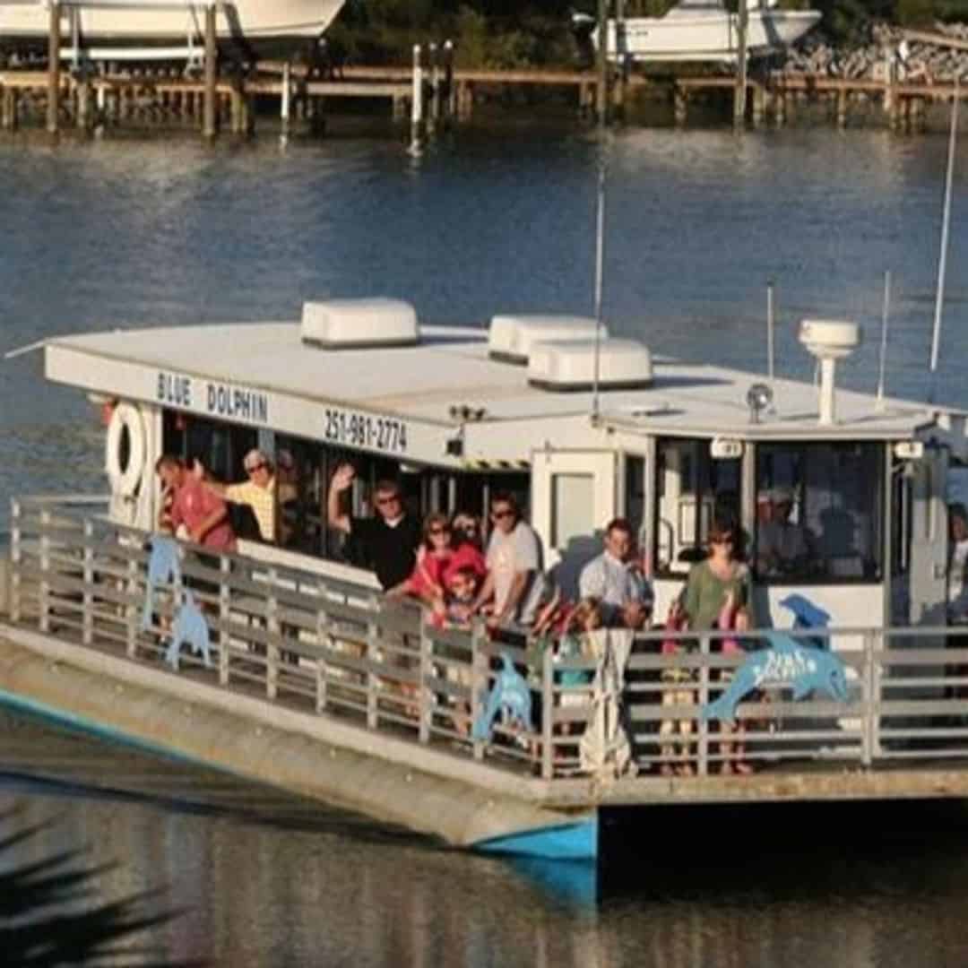 Pensacola Beach-Navarre Dolphin Cruises & Tours