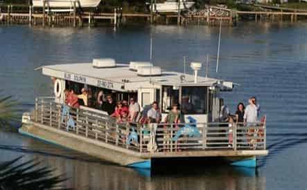 Sunset Dolphin Cruise with Blue Dolphin at The Flora-Bama