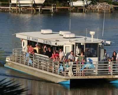 Sunset Dolphin Cruise with Blue Dolphin at The Flora-Bama