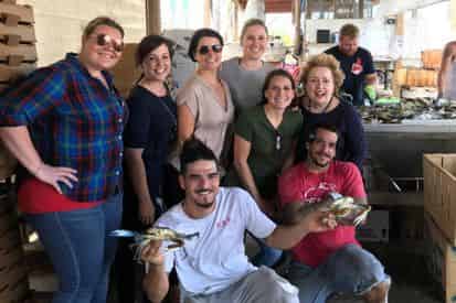 Wetlands, Wildlife, & Coastal Communities Eco-Tour with The Great Delta Tours