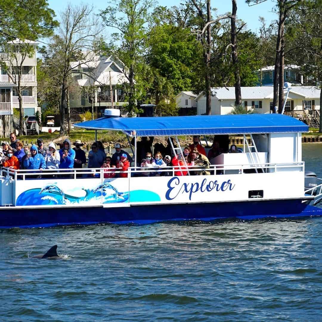dolphin tours orange beach fl