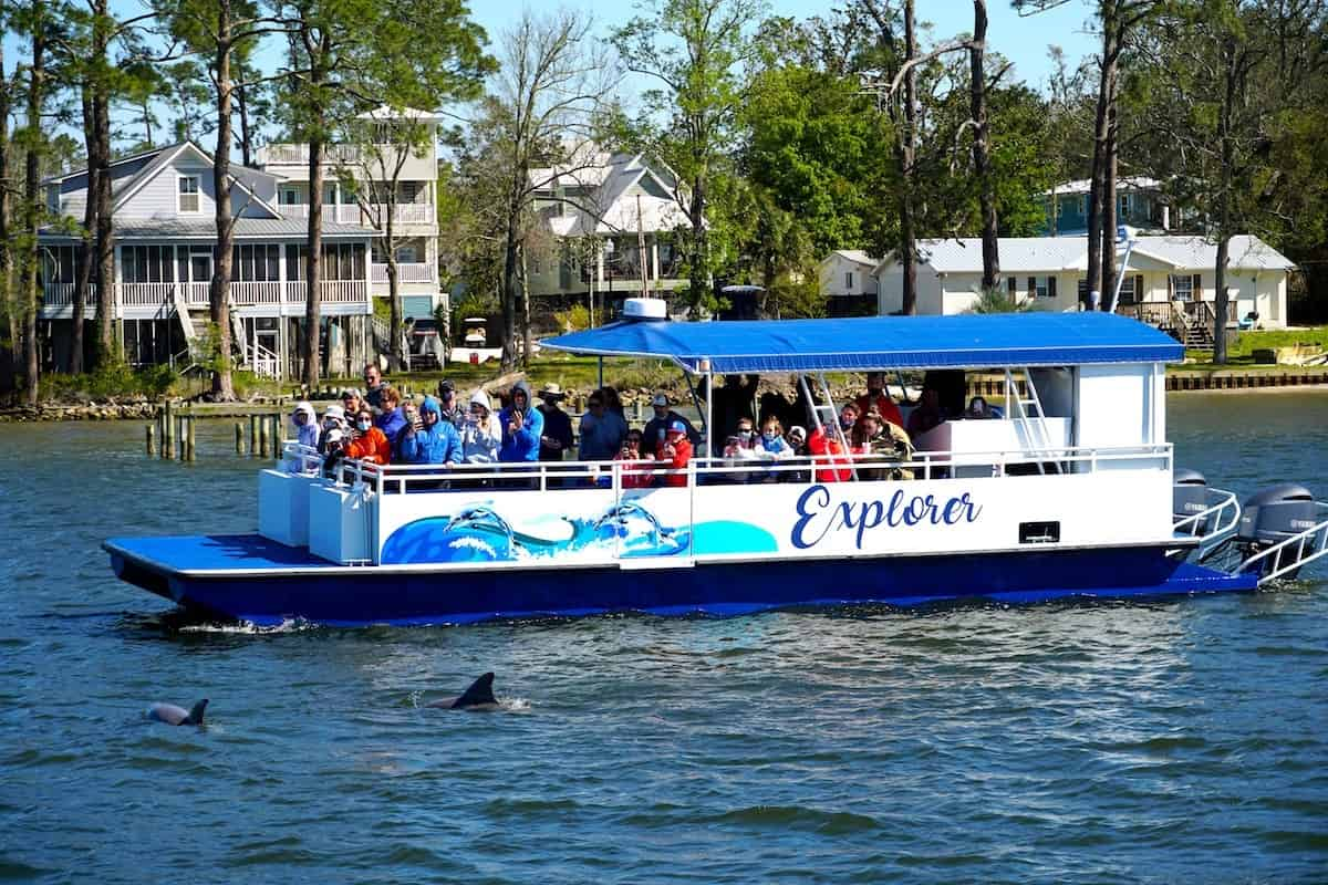 Dolphin-and-Nature-Tour-On-the-Explorer-Orange-Beach